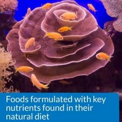 API Marine Optimal Protein Flakes Fish Food -Deals API || Fluker's  Store 94470 PT6. SY630 V1570551787