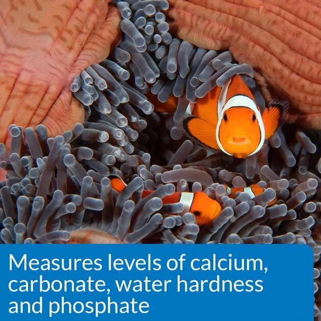 API Saltwater Aquarium Master Test Kit 6 API Saltwater Aquarium Master Test Kit - Image 6