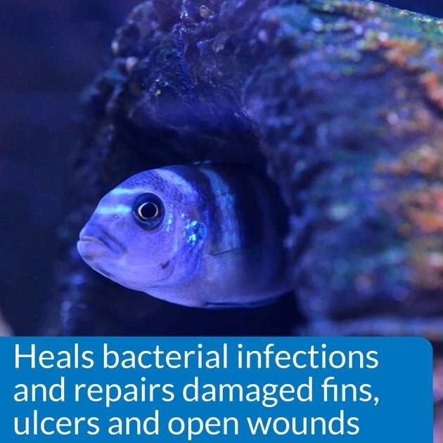 API Melafix Freshwater Fish Bacterial Infection Remedy 4 API Melafix Freshwater Fish Bacterial Infection Remedy - Image 4