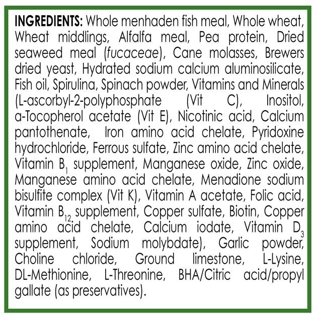 API Algae Eater Wafers Fish Food 7 API Algae Eater Wafers Fish Food - Image 7