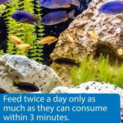 API Large Floating Pellets Cichlid Fish Food 10 API Large Floating Pellets Cichlid Fish Food -Deals API || Fluker's Store 94534 PT4. SY630 V1570552621