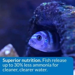 API Large Floating Pellets Cichlid Fish Food 11 API Large Floating Pellets Cichlid Fish Food -Deals API || Fluker's Store 94534 PT5. SY630 V1570552635