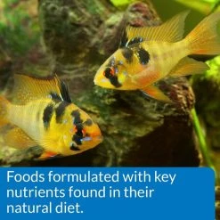 API Large Floating Pellets Cichlid Fish Food 12 API Large Floating Pellets Cichlid Fish Food -Deals API || Fluker's Store 94534 PT6. SY630 V1570552637