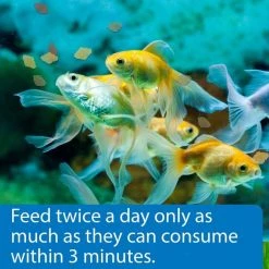 API Flakes Goldfish Fish Food -Deals API || Fluker's  Store 94537 PT4. SY630 V1570552697