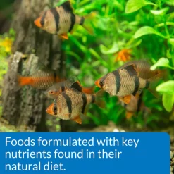 API Sinking Mini Pellets Tropical Fish Food -Deals API || Fluker's  Store 94546 PT5. SY630 V1570552926