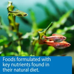 API Sinking Pellets Tropical Fish Food -Deals API || Fluker's  Store 94550 PT6. SY630 V1570552974