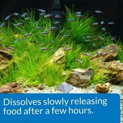 API Vacation Pyramid Fish Food Feeder -Deals API || Fluker's  Store 94597 PT5. SY630 V1570553239