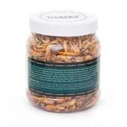 Fluker's 5 Star Medley Freeze-Dried Aquatic Turtle Treats -Deals API || Fluker's  Store 98504 PT3. SY630 V1635433283