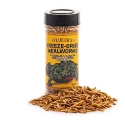 Fluker's Freeze-Dried Mealworm Treats