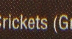 Fluker's Gourmet-Style Crickets Reptile Food 8 Fluker's Gourmet-Style Crickets Reptile Food -Deals API || Fluker's Store 98574 PT3. SY630 V1477925510