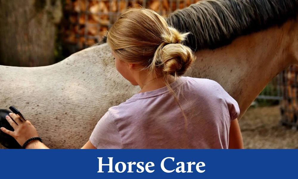 Deals API || Fluker's  Store -Deals API || Fluker's  Store